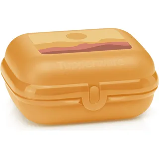 Tupperware Oyster Sonne, Twin Box
