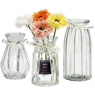 SOMEDA® Vasen Set 3 Stück/Verschiedene Größen und Formen/Moderne Blumenvasen/transparent, rot oder grau/Deko Wohnzimmertisch (3X Transparent)