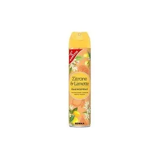 GUT&GÜNSTIG Raumspray Citrus 300,0 ml, 1 St.