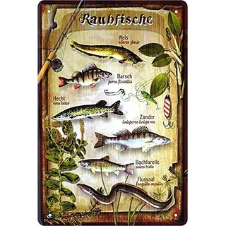 schilderkreis24 Blechschild Spruch “Raubfische, Wels, Barsch, Hecht, Zander .“ Deko Fisch Hängeschild Türschild Metallschild Fischen Angeln Angel Verein Schild Geschenkidee Angler 20x30 cm