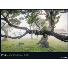 Bild Monats-Wandkalender Magische wälder 2024
