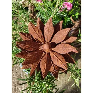 Edelrost Blume Claire