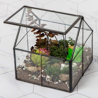 Ferrisland Glas-Pflanzen-Terrarium-Behälter, Wardian, für den Innenbereich, klein, Sukkulenten, Terrarium, Pflanzgefäß mit Tür, für Tischdekoration, DIY-Geschenk, 12,7 x 10,9 x 10,9 cm