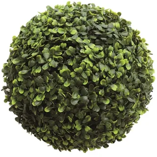 Vigor 7970738 Kugelhecke, Grün