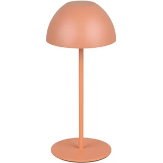 Trio Ortiz Apricot
