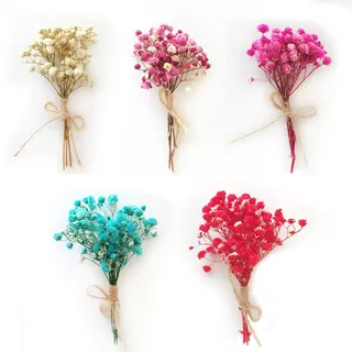 Getrocknete Blumen Natürliche Trockenblumen zum Basteln Schleierkraut Getrocknet Blumen DIY Gepresste Blumen Mini Trockenblumen Kleiner Blumenstrauß Trockenblumen Blumendeko für Kerzen Harz Deko