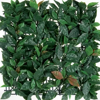 TENAX Künstliche Hecke für die Wand Garten vertikal Typ Photinia Divy 3D Panel Photinia 0,50 x 1 m kombinierbar für Dekoration und Abschirmung