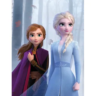 KOMAR "Frozen Sisters Wood", 30 x 40 cm