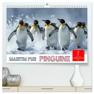 Maritim pur - Pinguine (hochwertiger Premium Wandkalender 2026 DIN A2 quer), Kunstdruck in Hochglanz: Im Wasser elegant und geschickt -an Land ungelenk (CALVENDO Tiere)