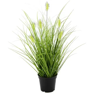 Künstliches Fuchsschwanzgras im Topf Gras Kunstpflanze Kunstgras Ziergras Grünpflanzen Dekogras Grasbüschel Ziergras Solitärgras Deko Grasarrangement Borstenhirse Panicoideae Süßgräser Setaria