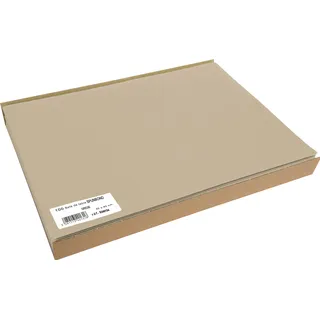 ProNappe 100 PROnappe Platzsets beige 30,0 x 40,0 cm