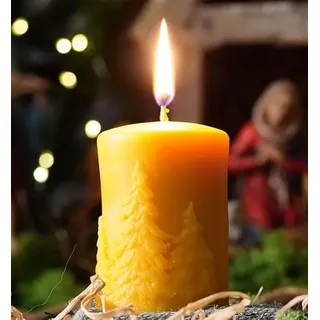 tea4chill Bienenwachskerze aus 100% Bienenwachs, Honigkerze, Kerze 6 x 9cm Stumpen, Tannenbaum, Geschenk für Weihnachten, lange Brenndauer, Adventkranz Kerze, Stabkerze, handgefertigt