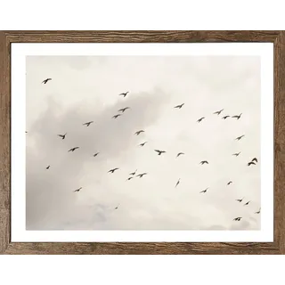 Bild mit Rahmen BÖNNINGHOFF "Wandbild gerahmt VÖGEL AM HIMMEL 40x50 cm – Wanddeko Natur Minimal", schwarz (farbe rahmen: schwarz oak, farbe bild(er): schwarz, weiß), B:50cm H:40cm T:2,1cm, MDF, Papier, Bilder, Bild mit Rahmen, mit dekorativem Rahmen