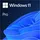 Windows 11 Pro 64-Bit OEM FR