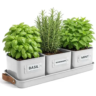 Green Thumbz 3 STK. Kräutertopf - Kräutertöpfe für Deinen Kräutergarten und Fensterbank Innen Dekoration - Basilikum Topf mit Ledergriffen & Untersetzer - Küchenkräuter Topf (Warmer Stein)