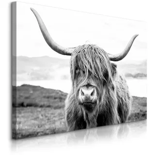 Muralo Leinwandbild Schottische Kuh Tier Natur Landschaft 3D 70/50 cm , Schwarz, Weiß, Grau , Textil , Tiere , Rechteckig , 70x50 cm , Bilder & Rahmen, Bilder, Leinwandbilder