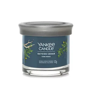 Yankee Candle Bayside Cedar Duftkerze 122 g blau