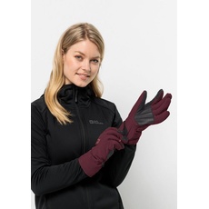 Bild von Alpspitze Merino Glove dark maroon dark maroon