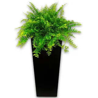 Elly Décor 30,5 cm großer Übertopf mit Drainage, groß, quadratisch, modern, leicht und extrem langlebig, für drinnen und draußen, Blume, 30,5 x 55,9 cm, Schwarz