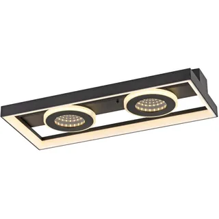 Paul Neuhaus LED-Deckenleuchte Traforo 6,2 cm x 45 cm x 20 cm Schwarz