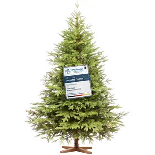 FAIRYTREES Weihnachtsbaum künstlich 180cm Nordmanntanne Exklusiv 100% PE | Tannenbaum Holzständer | Made in EU | Christbaum künstlich mit Naturgetreue Spritzguss Elemente