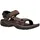Terra Fi 5 Universal Herren Braun 45,5