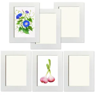YIYINOE 6er 13x18 cm Bilderrahmen Set,Pappe Bilder Rahmen mit Schutz Kunststoffmembran,Wandmontage Fotogalerie Display für Collage,Fotos,Bilder,Fotorahmen Familie,Weiß