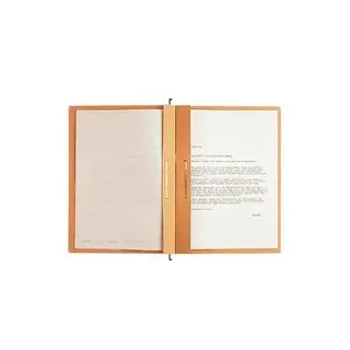 LEITZ Hängehefter ALPHA® 1987 Karton naturbraun DIN A4 2x kaufmännische Heftung, 25 St.