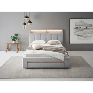 INOSIGN Polsterbett »CiTY/GiRON,, gepolstertes Stauraumbett, mit LED Beleuchtung« Bettkasten mit Hundebett oder als Stauraum, klappbare Kopfteile, grau