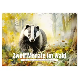 Zwölf Monate im Wald (Wandkalender 2026 DIN A3 quer), CALVENDO Monatskalender: Mit den Waldtieren durch die Jahreszeiten (CALVENDO Tiere)