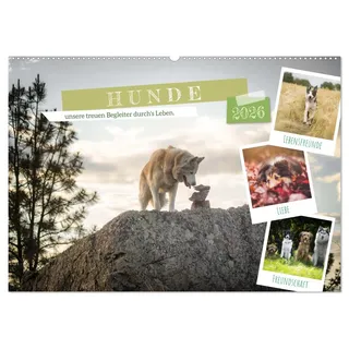 Hunde, unsere treuen Begleiter durch's Leben. (Wandkalender 2026 DIN A2 quer), CALVENDO Monatskalender: Hunde unsere täglichen Begleiter und Freunde auf 4 Pfoten! (CALVENDO Tiere)