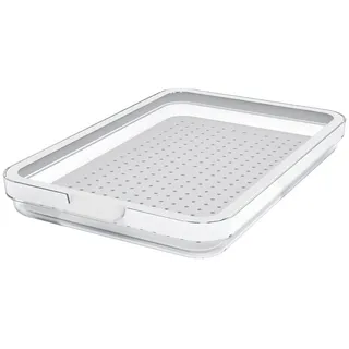 Rotho Frischhaltedose Cauma transparent weiß 28,2 cm 1,3 l