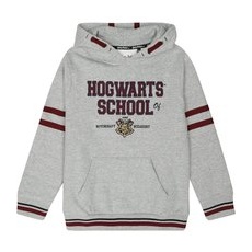 Harry Potter Kids - Hogwarts School Kapuzenpullover multicolor, Uni, 152