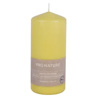 Müller Kerzen "PRO NATURE" Stearin Stumpenkerze 150/68mm, Nachhaltige Kerzen mit natürlichen Inhaltsstoffen in einer modernen großen Form, 1 Packung = 6 Stück, honig