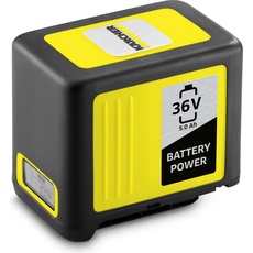 Bild Battery Power 36/50 36 V Li-Ion 5,0 Ah 2.445-031.0