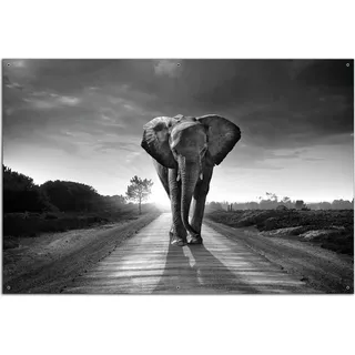 Wallario Outdoor-Poster für Garten oder Balkon, Motiv Elefant bei Sonnenaufgang in Afrika schwarzweiß, in ca. 61 x 91,50 cm - Schwarz