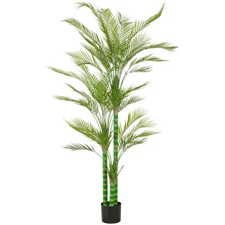 Creativ green "Arecapalme", in toller Größe,