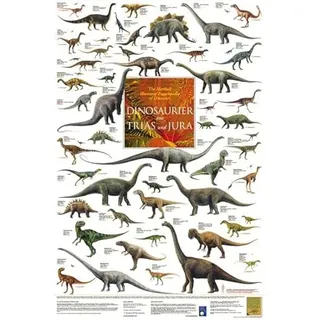 Planet Poster Editions Dinosaurier aus Trias und Jura Poster laminiert Korck, Planet Poster Editions