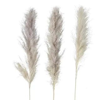 Boltze Deko Pampasgras (3 Zweige, Länge ca. 100 cm, Dekoration für Wohnzimmer / Schlafzimmer, hochwertige Verarbeitung, natürliches Pampasgras, Deko Boho Stil, Schilfgras) 2013758