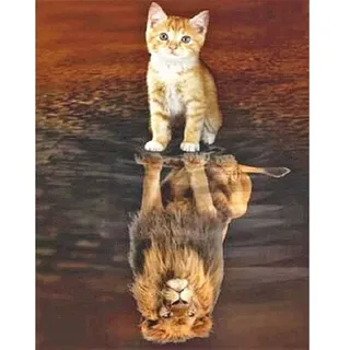 DCIDBEI Diamond Painting Quadratische Steine 40x50cm Quadratische Bohrer Katze Löwe 5D Malerei Tiere Diamant Malerei Katzen Spiegelbild Diamant Malerei Löwe Groß Erwachsene