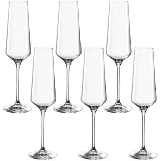 LEONARDO Sektglas »PUCCINI«, (Set, 6 tlg.), 280 ml, 6-teilig, farblos