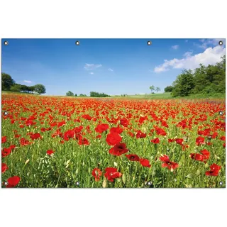 Wallario Outdoor-Poster für Garten oder Balkon, Motiv Mohnblumenfeld- rote Blumen unter blauem Himmel, in ca. 100 x 150 cm - Grün