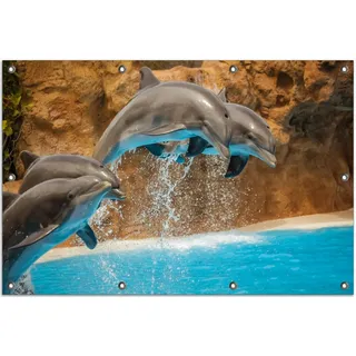Wallario Outdoor-Poster für Garten oder Balkon, Motiv Springende Delphine, in ca. 80 x 120 cm - Braun