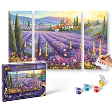 Bild von Malen nach Zahlen - Lavendelfelder