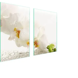 Glasschutzplatte Für Küche 65X52 Orchidee - Rosa