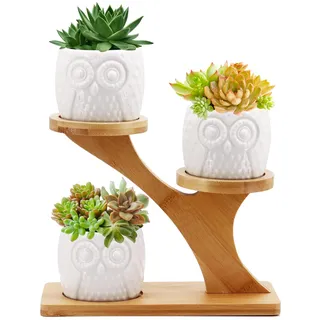 Gearific Sukkulenten Töpfe, keramische Blumentopf mit Bambus Tablett Halter, kleine Kaktus Pflanzer Töpfe für Home Office Desktop Windowsill Dekor (Eule)