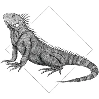 KOMAR Wandbild Iguana White 50 x 70 cm