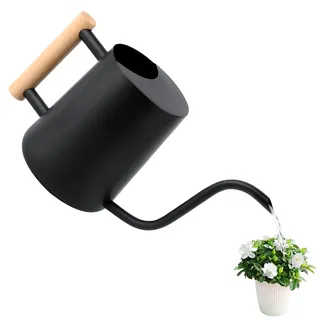 Gießkanne 1L,Giesskanne Zimmerpflanzen Klein Indoor,Giesskanne mit langem Auslauf und komfortablem Holzgriff,Edelstahl Gieskanne Schwarz für Topfpflanzen Sukkulenten,Metall Gartengießkanne für innen