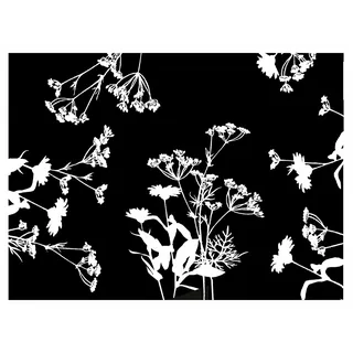 Pronappe Tischdecke 314326I 500er Pack Einweg-Tischset aus geprägtem Papier mit schwarz-weißem Blumendruck 30 x 40 cm hergestellt in Frankreich