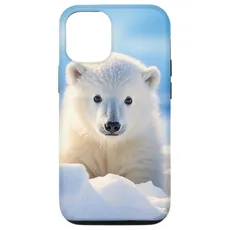 Hülle für iPhone 13 Eisbär, arktischer Nordpol, Alaska-Schnee, niedliche Eisbären